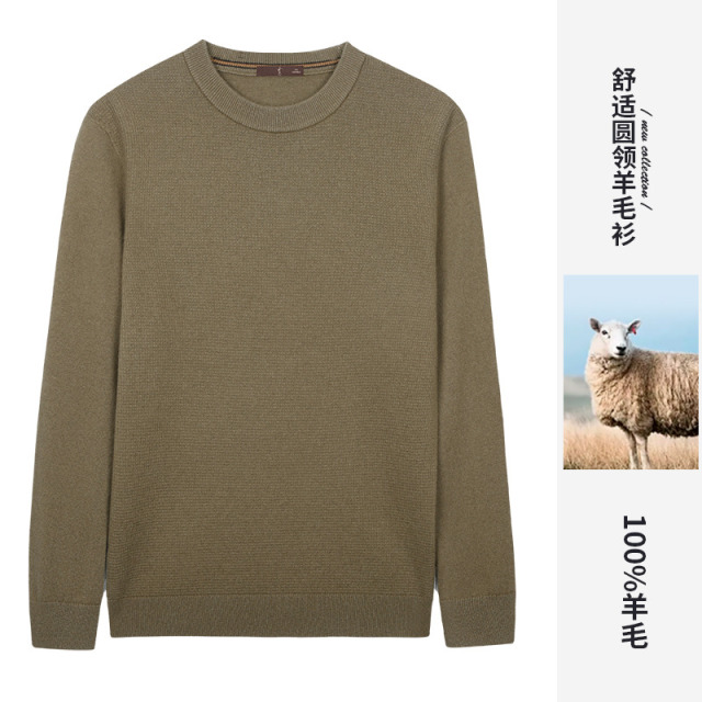 12650308.才子男装才子男装100%纯绵羊毛衫舒适保暖毛衣 92256M0520