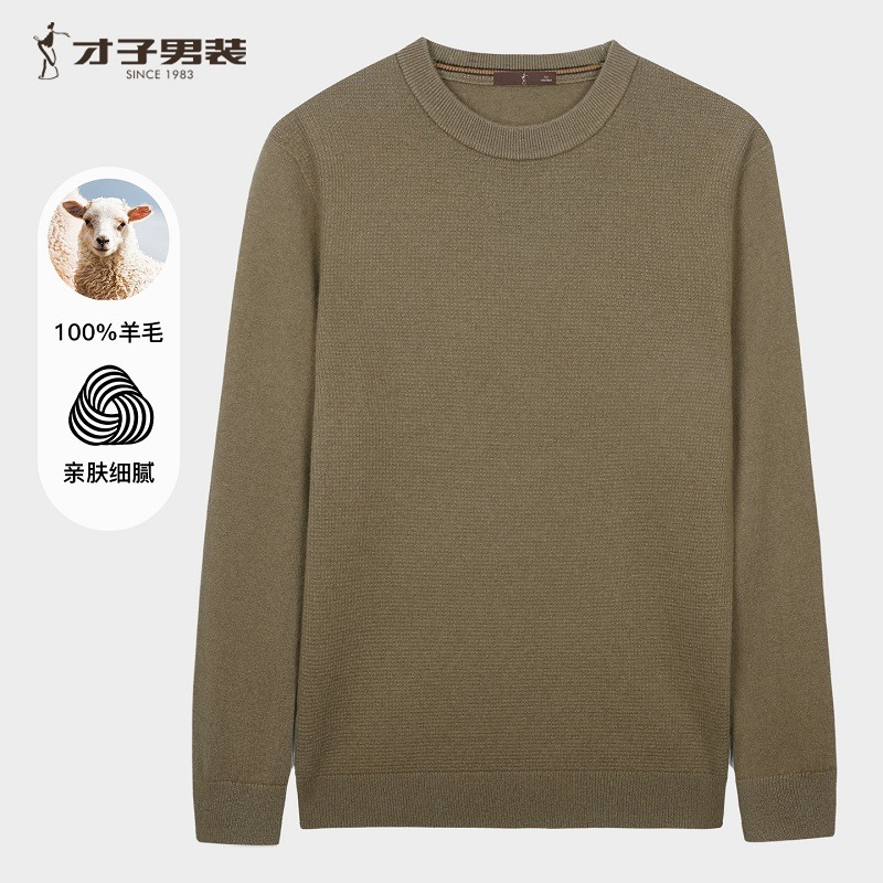 12650308.才子男装才子男装100%纯绵羊毛衫舒适保暖毛衣 92256M0520