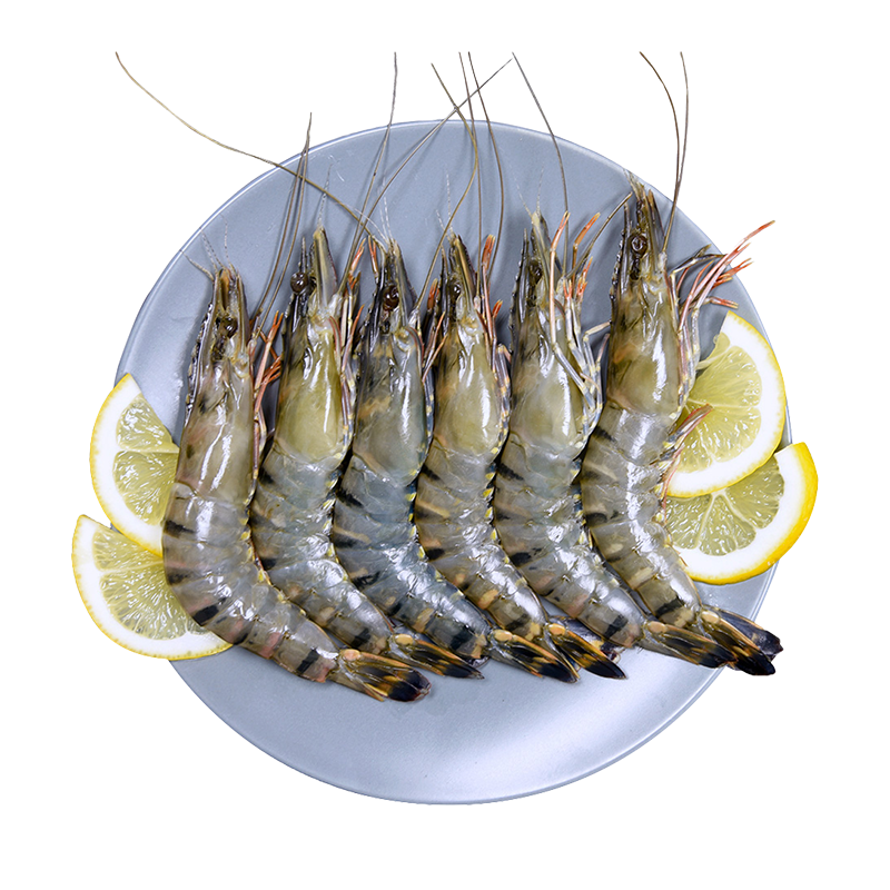 13061823.海朴  生冻黑虎虾1.5kg到手3斤超大对虾黑虎虾年货送礼自用