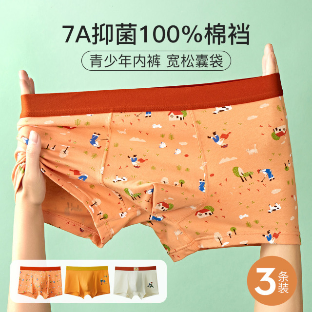 13409765.芬腾可安【青少年发育期】3条初高中学生棉内裤男7A yi菌100棉裆宽松