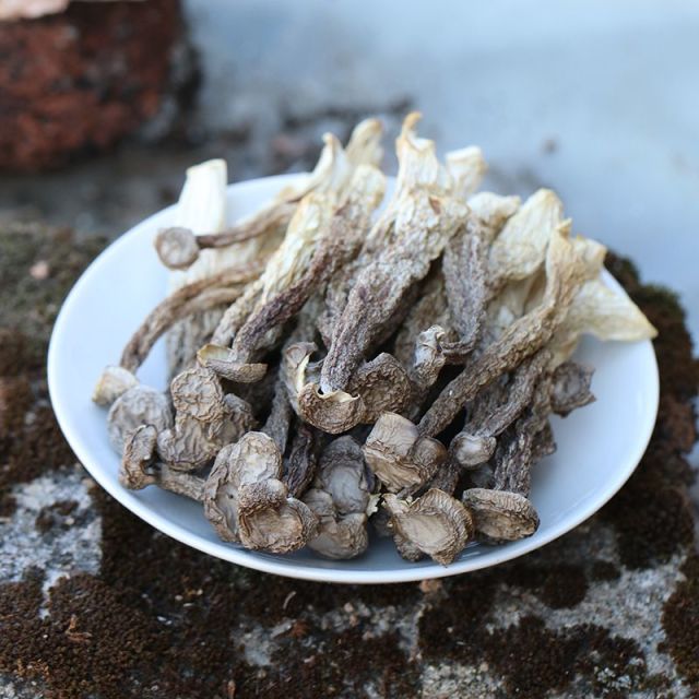 12705413.拾誉鹿茸菇1000g古田食用菌干货特产脆脆菇菌子 炒菜炖煲汤火锅汤料包材料