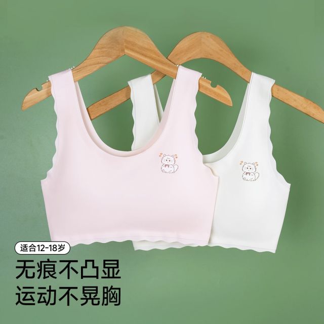 13464897.芬腾千线艺【二阶段2件装+IP联名】发育内衣少女文胸学生无感贴合