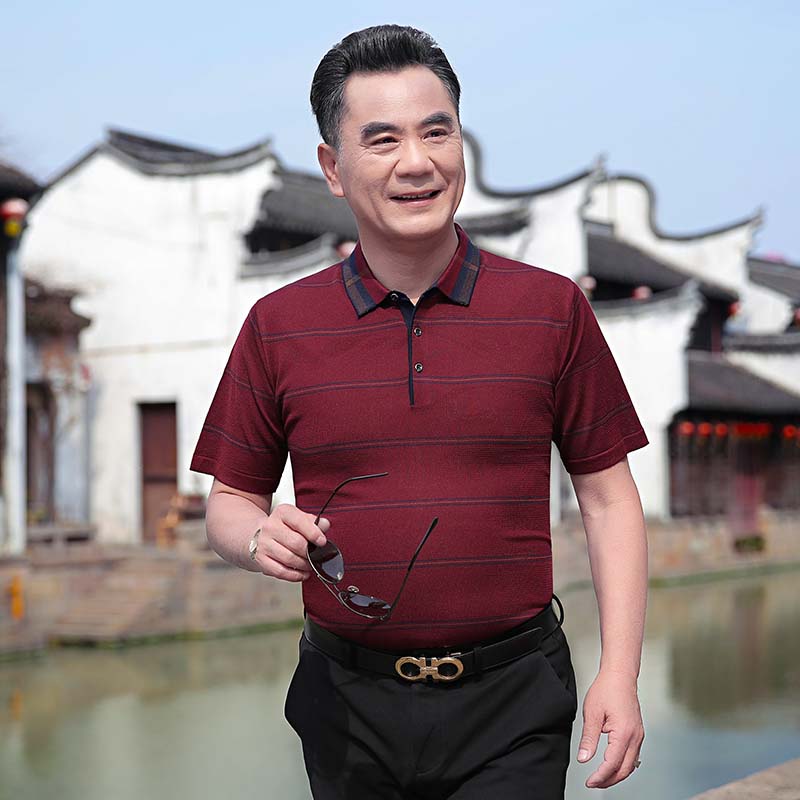 9176124.雄狮爸爸装短袖t恤条纹翻领半袖针织体恤中年夏季透气POLO衫男
