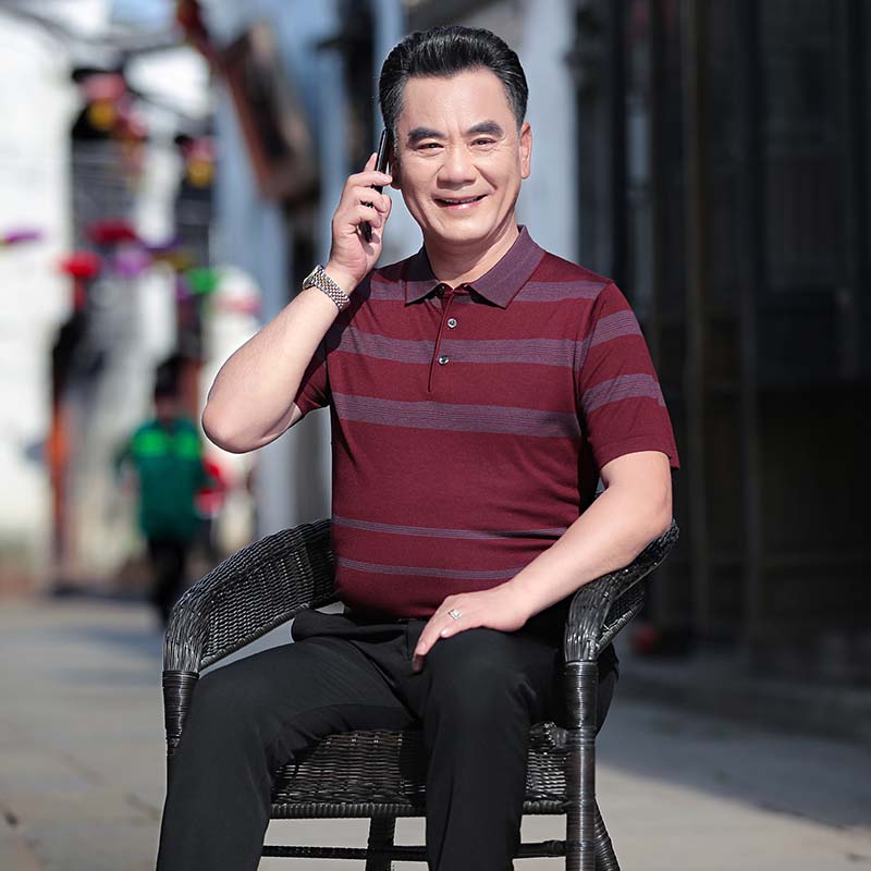 9210103.雄狮中老年男士polo衫夏季中年爸爸高端针织休闲翻领短袖t恤