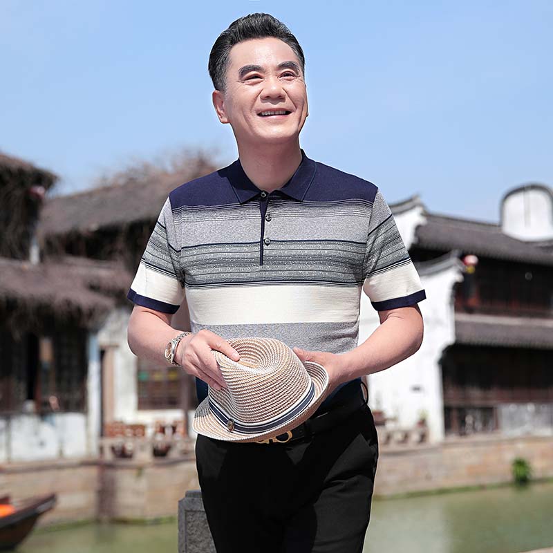 9210178.雄狮男士短袖T恤夏中年时尚有型翻领POLO衫针织男装