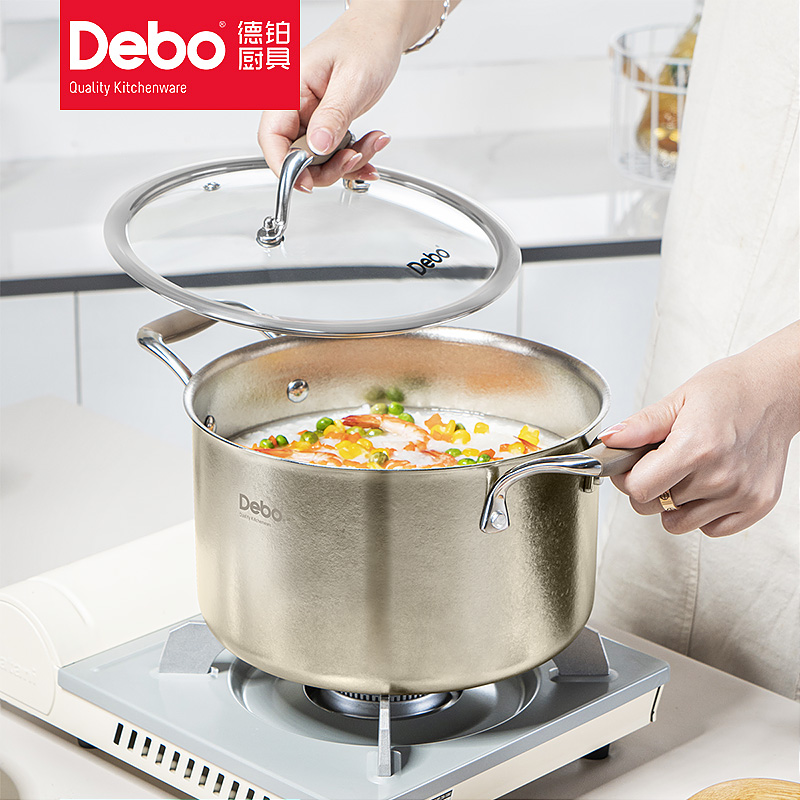 9767064.Debo德铂罗麦斯纯钛汤锅22cm（禁用电磁炉）