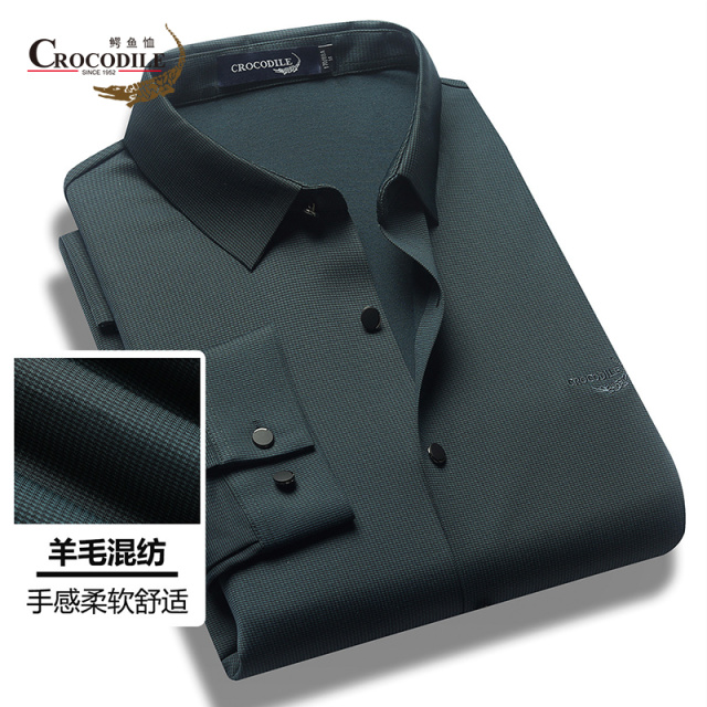 9500220.高端商务秋冬新品羊毛混纺细格纹柔软无痕新工艺衬衣衬衫男