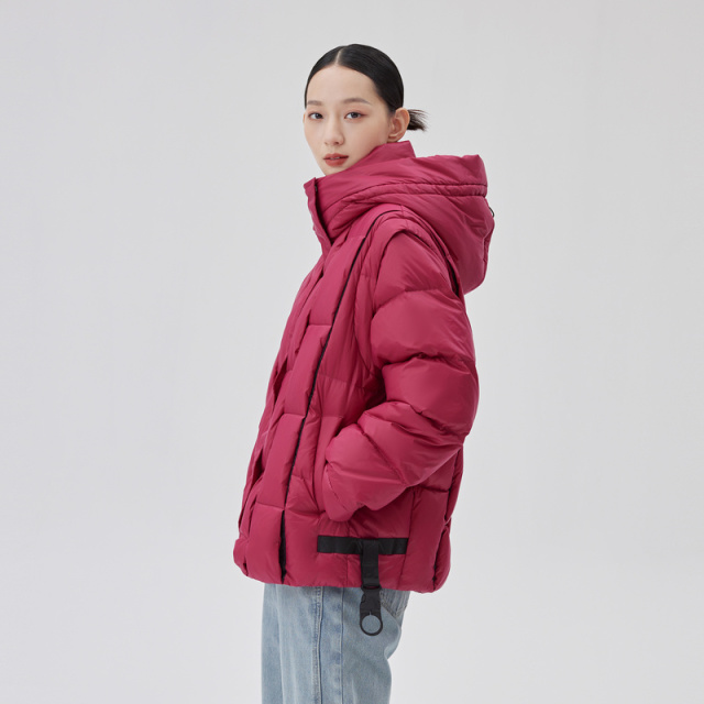 10917787.艾莱依商场同款开拆卸袖羽绒马甲短款羽绒服女厚款秋冬外套