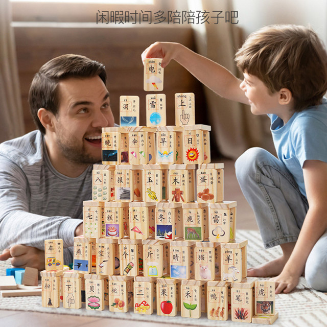 11931114.儿童早教识汉子积木玩具松木多米诺骨牌宝宝益智力男女孩认汉字