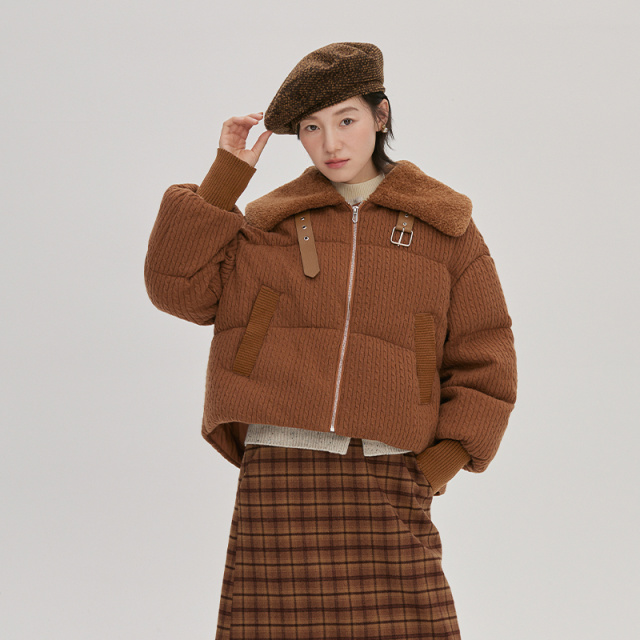 11394301.艾莱依短款羽绒服女仿羊羔毛翻领时尚冬季