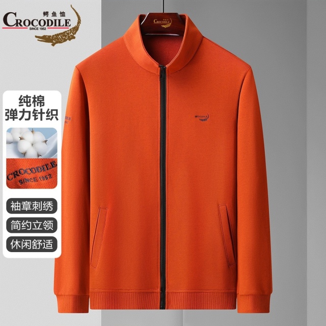 12662845.春秋休闲舒适刺绣logo立领拉链男士卫衣男