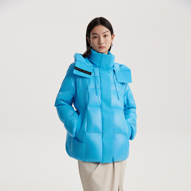 12669774.【商场同款】艾莱依形色系列显瘦H版可脱卸连帽鹅绒服短款羽绒服女
