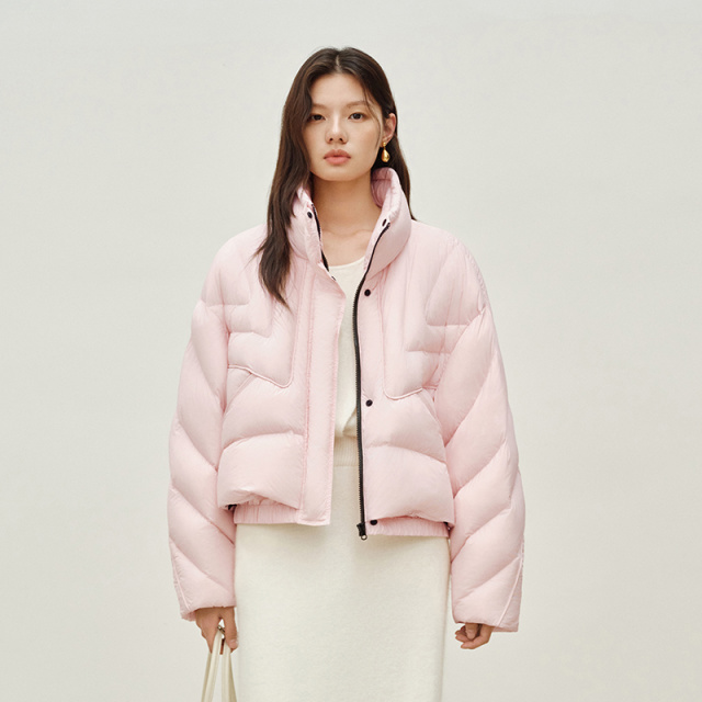 12820582.艾莱依短款羽绒服女秋冬立领时尚泡芙简约百搭保暖外套女