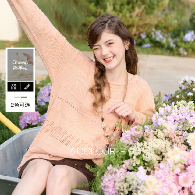 13068593.三彩独醒2026春季新款镂空提花针织衫圆领毛衫宽松长袖套头罩衫F