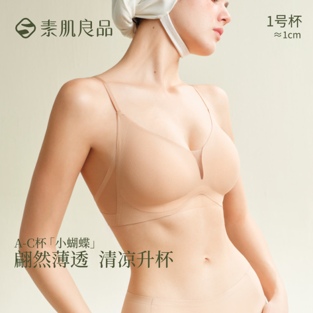 13188027.【小蝴蝶】清凉聚拢升杯文胸侧收副乳网纱拼接内衣美背女士胸罩