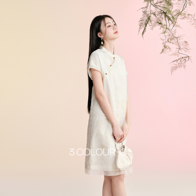 13241919.【素月清辉】三彩2026夏季新款欧根纱绣花短袖连衣裙新中式A字裙C