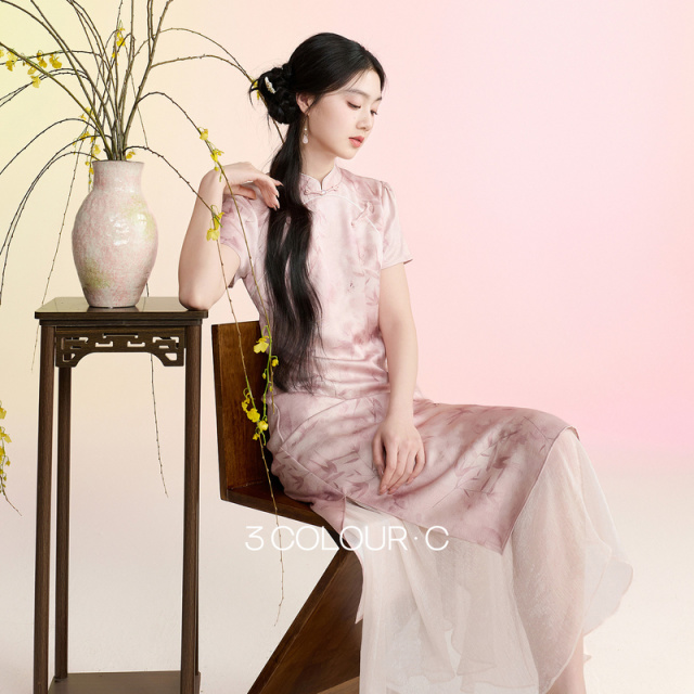 13303282.【粉黛青岚】三彩2026夏季新款立领印花连衣裙新中式短袖A字长裙C