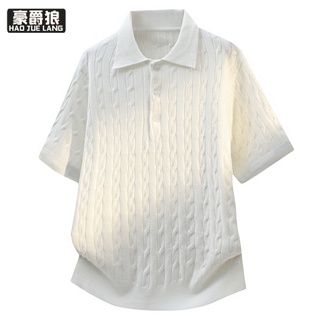 13352988.轻熟风男麻花纹polo领针织短袖简约舒适透气亲肤通勤夏季正肩T恤