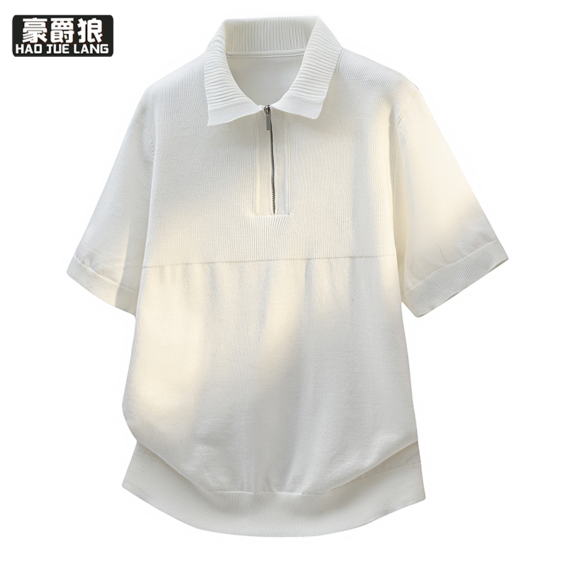 13368282.男士26年新款夏季短袖Polo衫青年百搭通勤短袖翻领半袖上衣潮