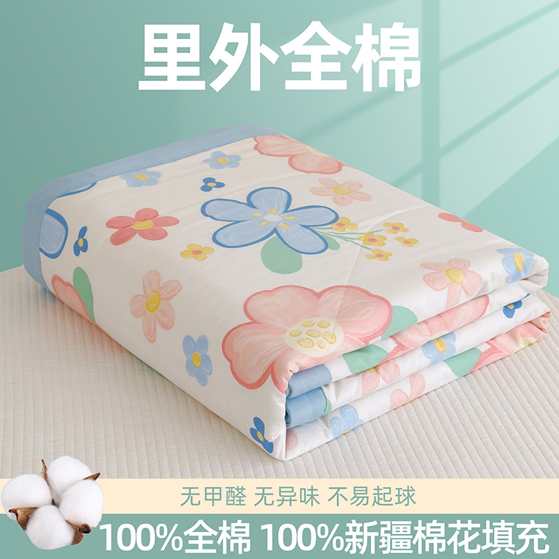 13422771.A类里外全棉印花棉花夏被