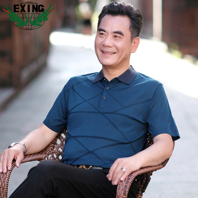 13441051.EXING中老年男士时尚休闲针织条纹POLO衫R95