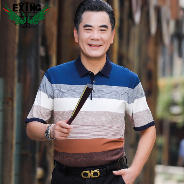 13441053.EXING中老年男士时尚休闲针织条纹POLO衫R70