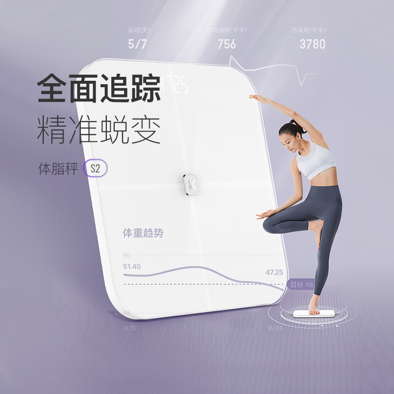 13454148.体脂秤 S2