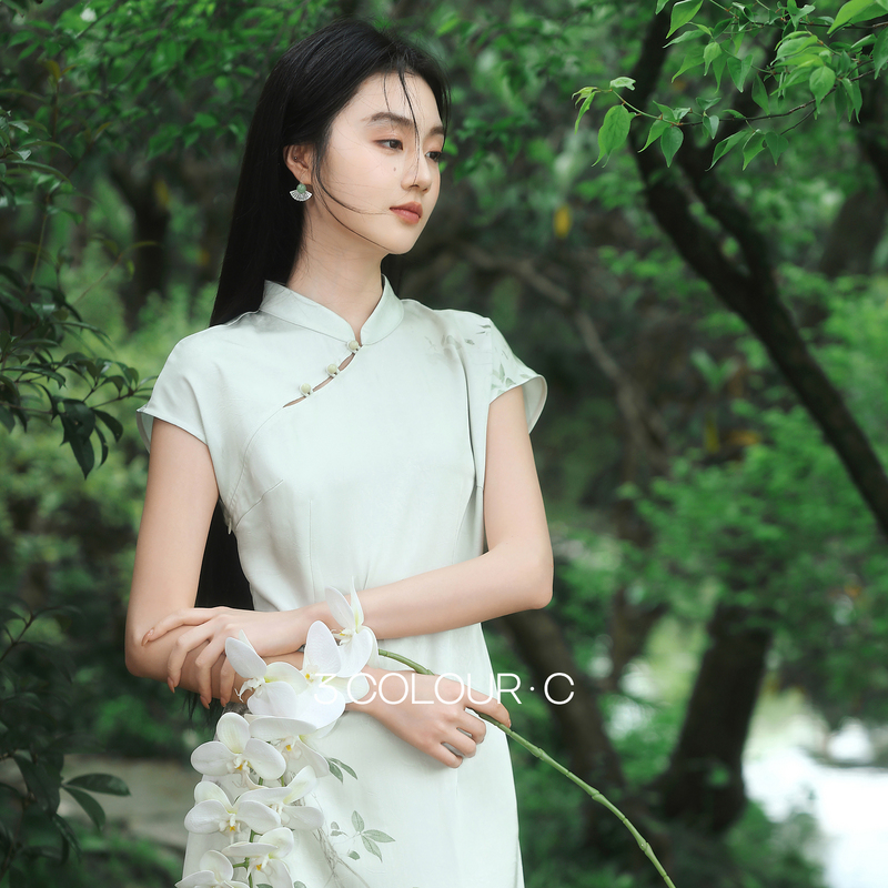 13504960.【骤雨新荷】三彩2026夏季新款新中式连衣裙缎面印花长裙C