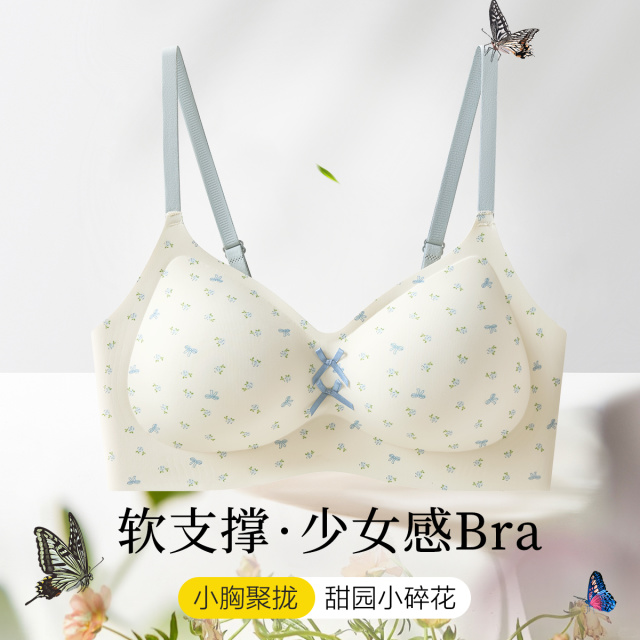 13510199.【少女田园】聚拢小碎花无痕无钢圈防下垂女士学生内衣文胸罩