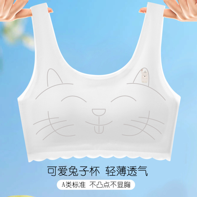 13527289.【8~12岁兔子杯背心】透气防凸女童文胸发育期运动防震一阶段