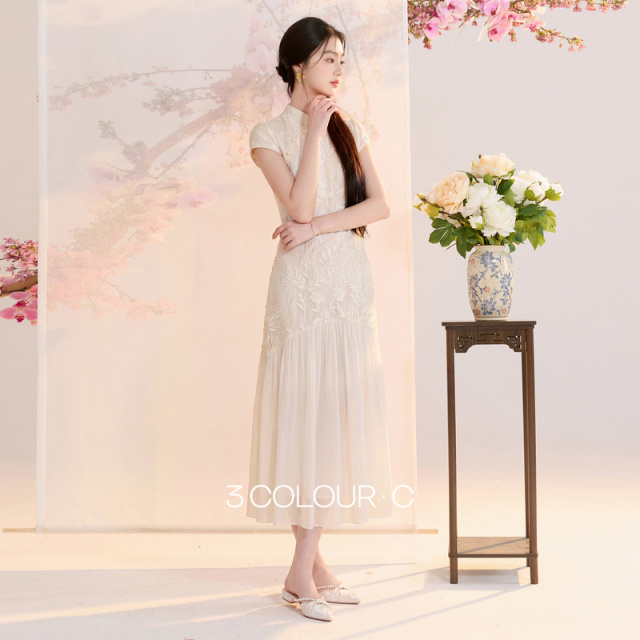 13654594.【烟波轻语】三彩2026夏季新款国风提花新中式连衣裙立领A字长裙C