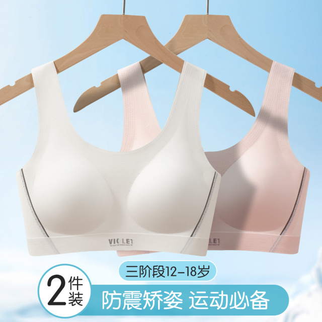 13740108.2件【体育课运动防震】三阶段网眼透气文胸学生女童背心儿童内衣