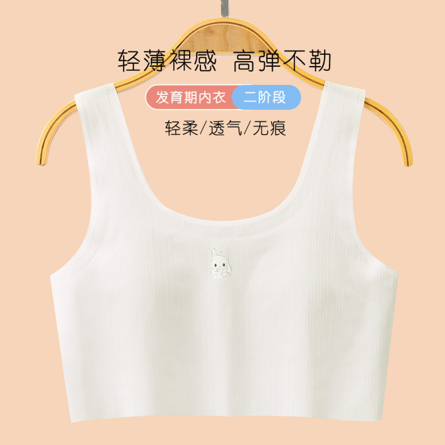 13791835.捡漏【女童内衣发育期二阶段】亲肤无痕少女文胸透气防凸点