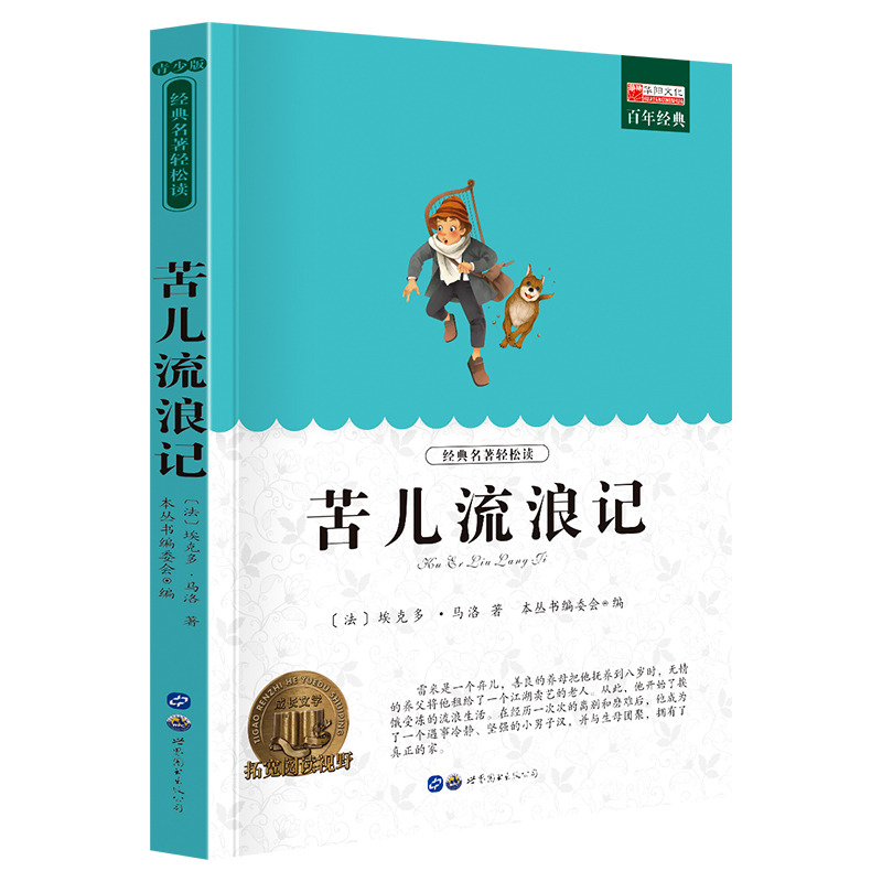 11974737.《苦儿流浪记》老师推荐中小学生课外阅读书籍
