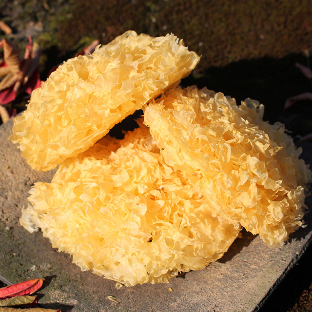 12697935.冠耳 本色银耳250g 疫情必备 农家种植古田南北干货大朵白木耳 雪耳 大花银耳