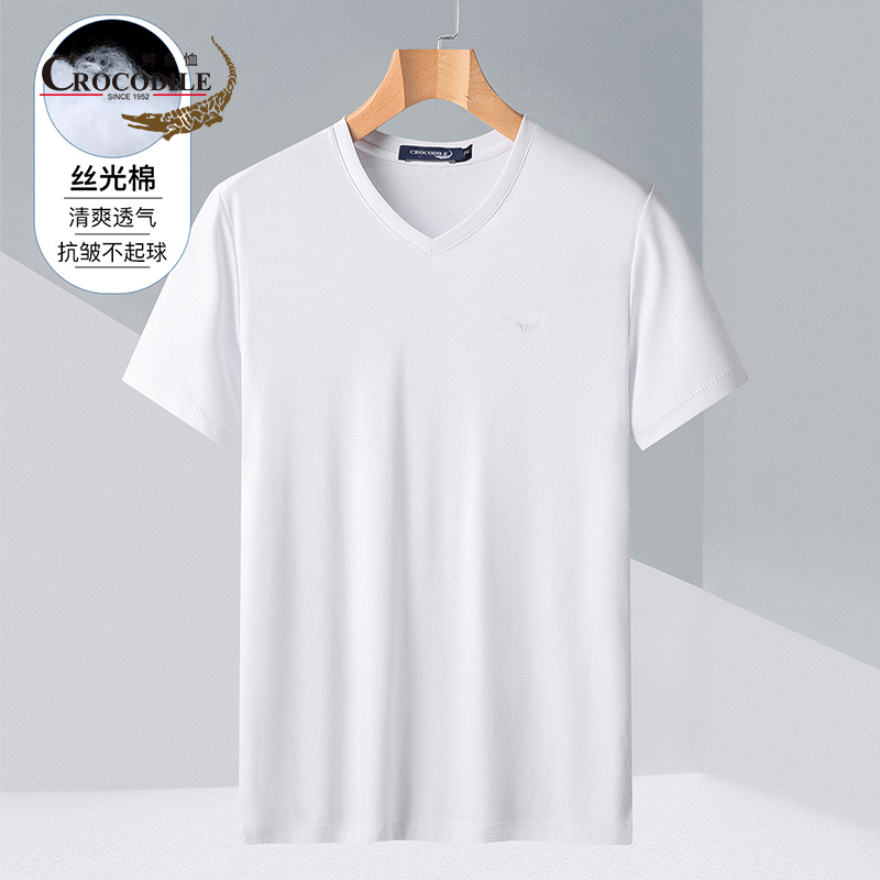 7547805.鳄鱼恤【60支丝光纯棉】专柜款夏季基础百搭V领短袖男士T恤男