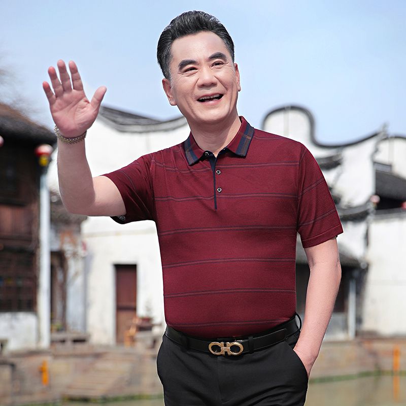 7671511.雄狮爸爸夏装短袖polo衫男中年t恤条纹T恤父亲夏季衣服