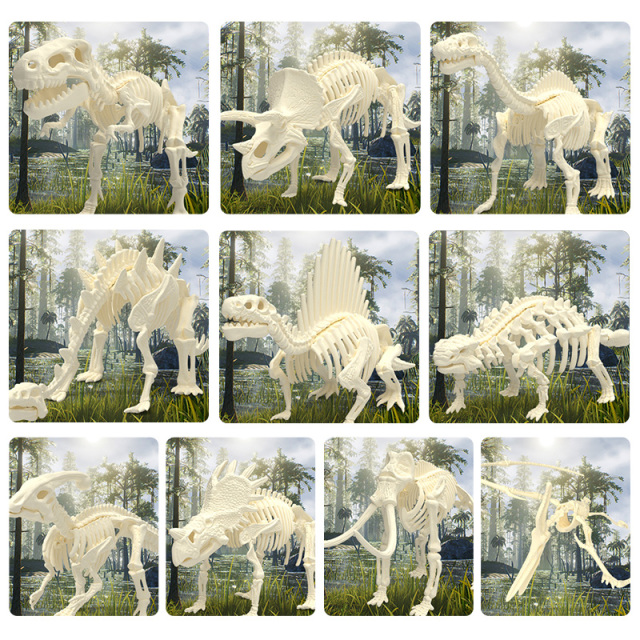 11951479.智恩堡 儿童手工diy宝藏盲盒考古化石挖掘玩具【随机1只装】