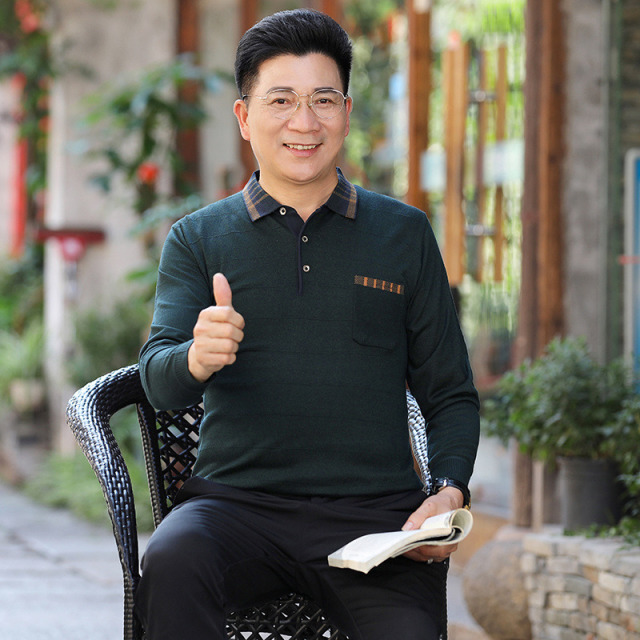 8224320.雄狮秋季中年男士长袖t恤男装薄款翻领毛针织体恤衫爸爸装