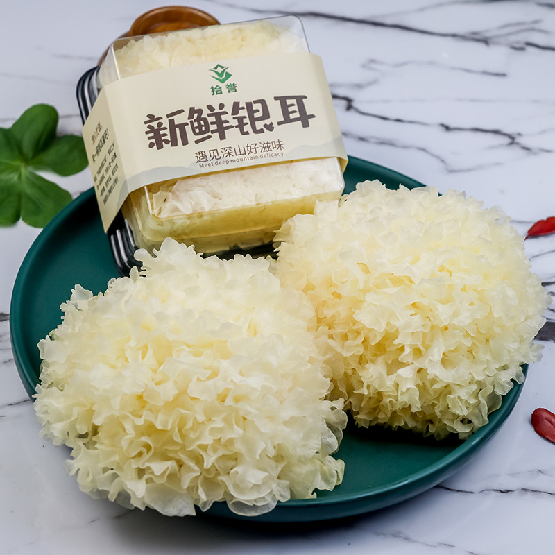 12705558.【顺丰发货】拾誉新鲜银耳6朵盒装活耳古田白木耳雪耳鲜本草银耳 当天采摘当天寄